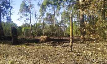 Imagem 5: Terreno com ótima topografia