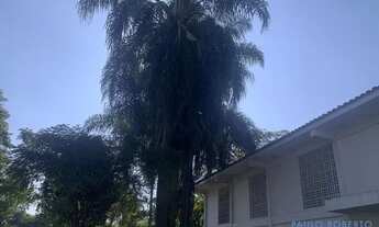 Imagem 3: CASA ASSOBRADADA - ALTO DE PINHEIROS - SP