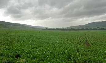 Imagem 5: Vende fazenda 271 alqueiro a 1.500 saca de soja