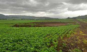 Imagem 3: Vende fazenda 271 alqueiro a 1.500 saca de soja