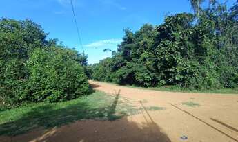 Imagem 4: /Lote com 1020 m2 no km 19 da AM 070