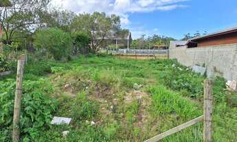 Imagem 3: Imóvel para venda com 300 metros quadrados em São João do Rio Vermelho - Florianópolis - S