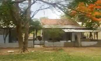 Imagem 6: SÍTIO 20 HECTARES PROX CINQUENTINHA