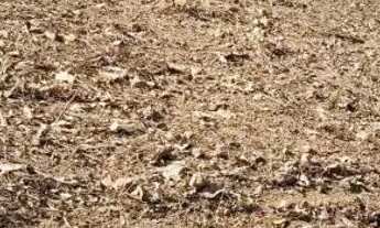 Imagem 4: Vendo uma chácara Jaboticatubas 1.500 metros entrada 70mil avista na troca outro valor