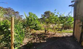 Imagem 4: Vendo ótima chácara no núcleo rural quintas do Maranhão