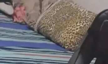 Imagem 7: Casa em condomínio á venda com 2 quartos no Nova Lima em Campo Grande - MS