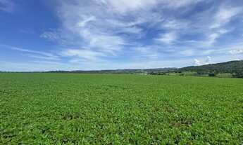 Imagem 4: Fazenda a venda - Nazário - GO