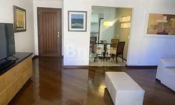 Imagem 5: CHARMOSO APARTAMENTO AGRIOES TERESÓPOLIS