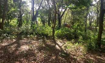 Imagem 7: Terreno à venda Chapada dos Guimarães - MT, 6.000 m² em Aldeia Velha