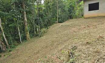 Imagem 3: Chacara em forma agende ja