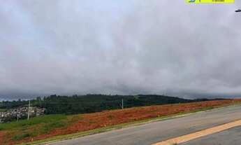 Imagem 4: Lindo Lote Plano- R$ 110.000,00 -Nova Caucaia - Cotia/SP