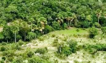 Imagem 6: Fazenda a venda, em Santa Terezinha - Goiás!!!
