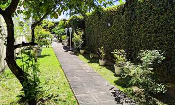 Imagem 2: Excelente apto no Cordeiro