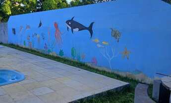 Imagem 4: Vendo chácara Chácara com venda por R$280.000