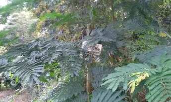 Imagem 5: Terreno à venda, 547 m² por R$ 120.000,00 - Engenho do Mato - Niterói/RJ