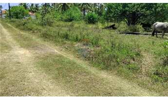 Imagem 6: Terreno à Venda - Rota Ecológica dos Milagres - Praia da Laje - R$ 75.000,00