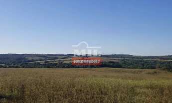 Imagem 6: Fazenda 31 alqueires (150 hectares) Silvania - GO