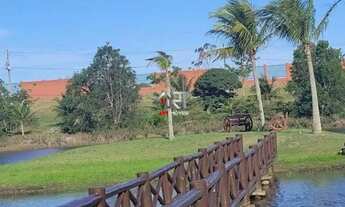 Imagem 4: TERRENO JARDINS VENEZA - ESPETACULAR TOTALMENTE PLANO 817,35 m2