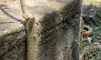 Imagem 6: VENDO TERRENO Terreno / lote com venda por R$39.999