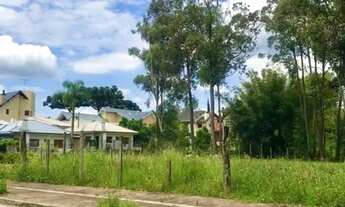 Imagem 3: Terreno para Venda em Nova Petrópolis, Juriti