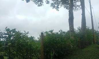 Imagem 2: 3 mil mts quadrados apenas 1 km da rodovia