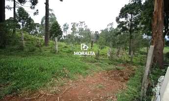 Imagem 7: Chácara à Venda no Campestre Tijucas do Sul