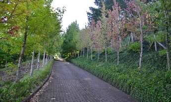 Imagem 5: Terreno à venda, 0 m² por - R$ 12.500.000,00 - Linha Bonita - Gramado/RS