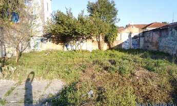 Imagem 3: TERRENO - VILA MADALENA - SP