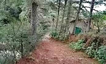 Imagem 2: Sítio à venda, 23460 m² por R$ 1.150.000,00 - Cascatinha - Nova Friburgo/RJ