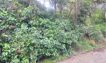 Imagem 3: Terreno Urbano para Venda em Florianópolis, Vargem Pequena