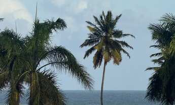 Imagem 5: Alugo Ap com 3 suítes Jardim Oceania