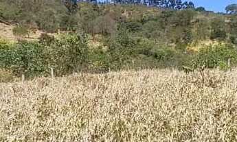 Imagem 6: Terrenos para venda possui 500 metros quadrados em Vila São Domingos - São Roque - SP