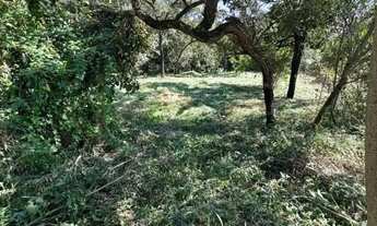 Imagem 3: Lote para Venda em Sarzedo, Vila Satelite