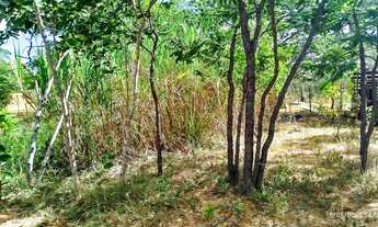 Imagem 2: Chácara 1000mt Chácara com venda por R$20.000