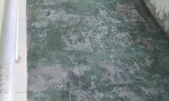 Imagem 7: Bosque das Palmas / Ponta Negra