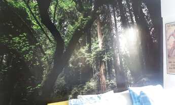 Imagem 5: Apartamento a venda no Jaguaré