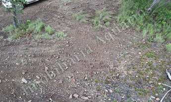 Imagem 13: Fazenda para venda possui 13560000 metros quadrados