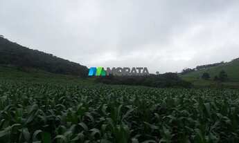 Imagem 6: ANTôNIO CARLOS - Fazenda - Zona Rural