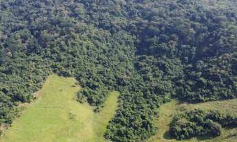Imagem 3: Fazenda Histórica com 132 Alqueires na região de Botucatu-SP
