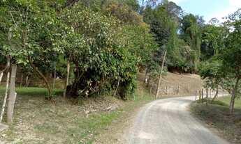 Imagem 3: Sitio 3 alqueires Miracatu SP