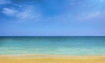 Imagem 4: Riserva Golf - O melhor e mais completo condomínio do brasil