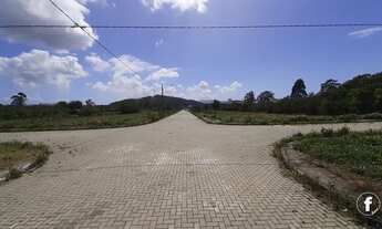 Imagem 2: FLORIANóPOLIS - Casa Padrão - Ribeirão da Ilha