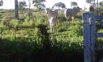 Imagem 7: Sitio Em montes claros-mg!! 450 Km DE Belo Horizonte!!