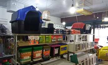 Imagem 6: Agropecuária Galpão / depósito com venda por R$80.000