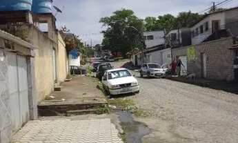 Imagem 7: Cajueiro térreo