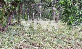 Imagem 6: Terreno à venda em EXTREMA, terreno de 8 mil metros uma excelente topografia