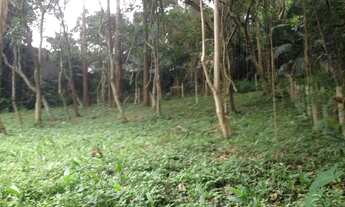 Imagem 5: TERRENO NO JARDIM MORUMBI - ARBORIZADO PARA UMA OU DUAS CASAS