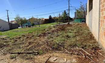 Imagem 3: LONDRINA - Terreno Padrão - Vivi Xavier