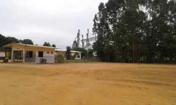 Imagem 6: Fazenda de 26.096 em Nova Mutum - MT