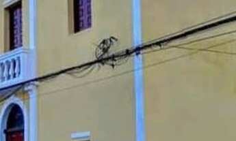 Imagem 12: Alugo Temporada Casa com 2 dormitórios